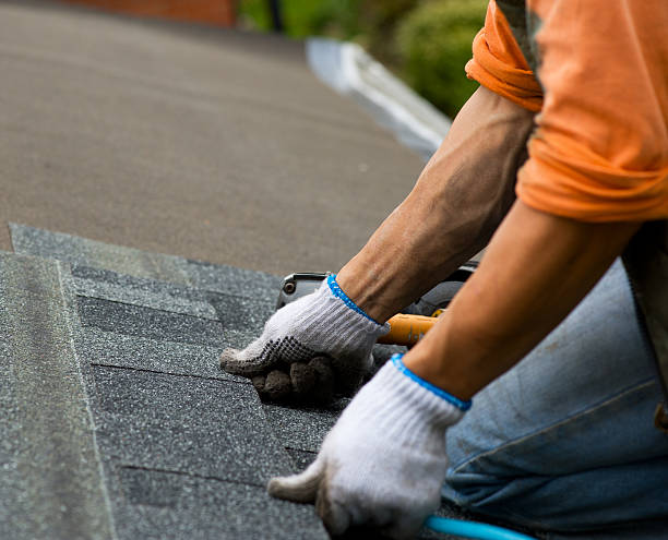 Best Gutter Installation and Roofing  in Hillsdale, NJ
